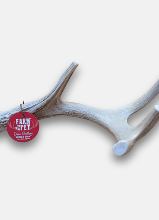 Deer Antler Dog Chews | Organic Chews for Dogs