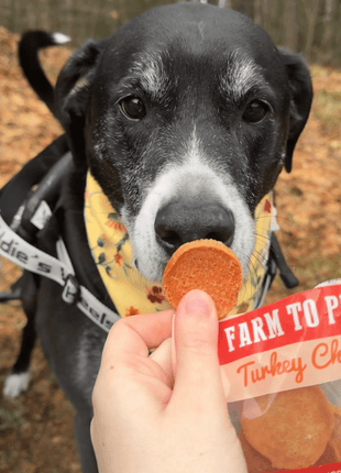Turkey Chips Snack Pack Bundles | Low Allergen Treats for Training