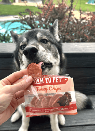 Turkey Chips Snack Pack Bundles | Low Allergen Treats for Training