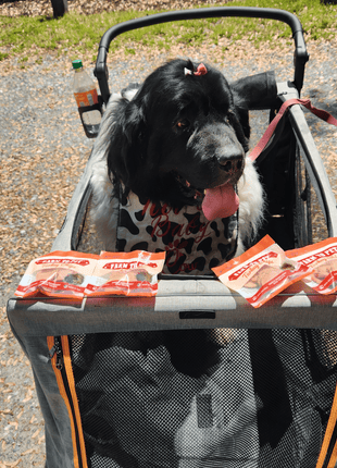 Turkey Chips Snack Pack Bundles | Low Allergen Treats for Training
