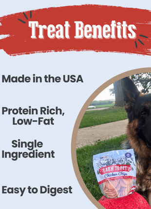 Americana Chicken Chips for Dogs | Celebrate with USA-made Dog Treats