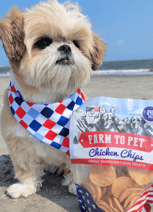 Americana Chicken Chips for Dogs | Celebrate with USA-made Dog Treats