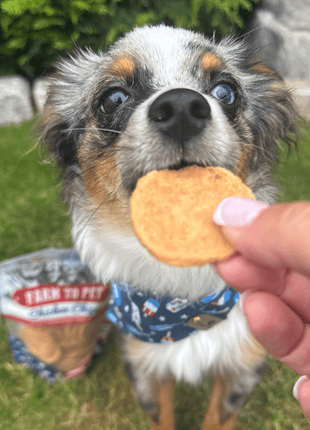 Americana Chicken Chips for Dogs | Celebrate with USA-made Dog Treats
