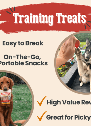 Turkey & Chicken Chip Dog Treat Duo | Single-Ingredient Poultry Treats for Dogs