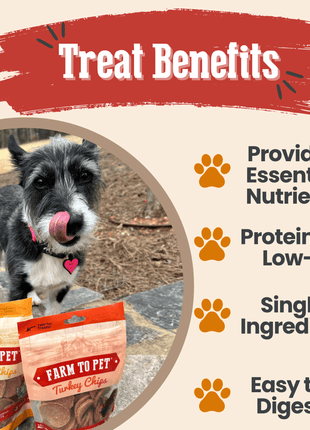 Turkey & Chicken Chip Dog Treat Duo | Single-Ingredient Poultry Treats for Dogs