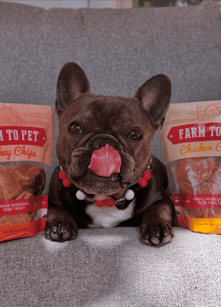 Turkey & Chicken Chip Dog Treat Duo | Single-Ingredient Poultry Treats for Dogs