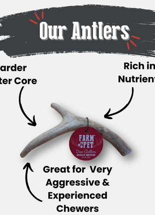 Deer Antler Dog Chews | Organic Chews for Dogs
