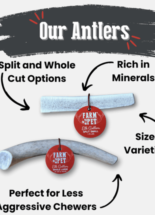 Elk Antler Dog Chews | All-Natural Whole and Split Elk Antler Chews for Dogs