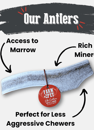 Elk Antler Dog Chews | All-Natural Whole and Split Elk Antler Chews for Dogs
