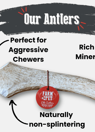 Elk Antler Dog Chews | All-Natural Whole and Split Elk Antler Chews for Dogs