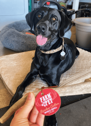 Reindeer Antler Dog Chews | Organic Chews for Dogs