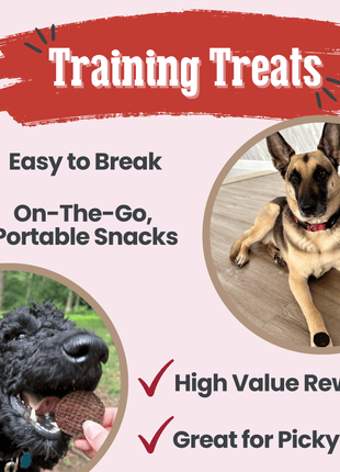 Beef Chips Dog Treats | Single-Ingredient Healthy Treats for Dogs