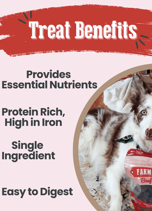 Beef Chips Dog Treats | Single-Ingredient Healthy Treats for Dogs