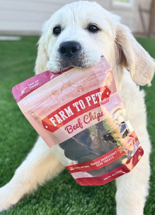 Beef Chips Dog Treats | Single-Ingredient Healthy Treats for Dogs