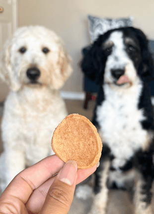 Chicken Chips for Dogs | All-Natural Single-Ingredient Dog Treats