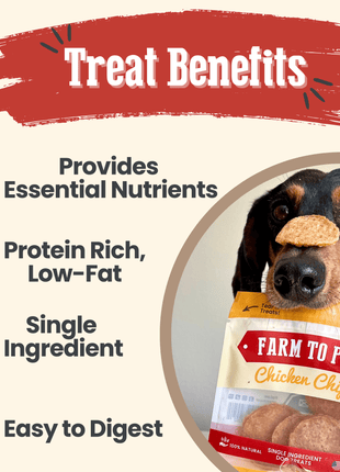 Chicken Chips Snack Pack Bundles | Dog Party Favors & Training Treats