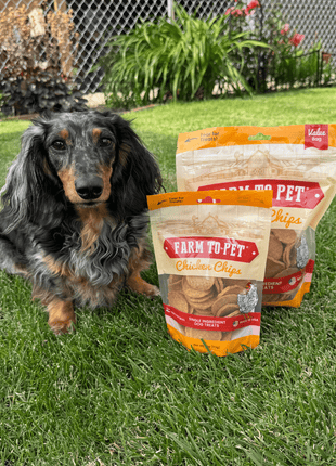 Chicken Chips for Dogs | All-Natural Single-Ingredient Dog Treats