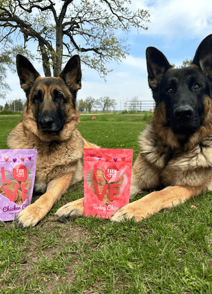Puppy Love Dog Treat Duo | Poultry Chip Variety Pack