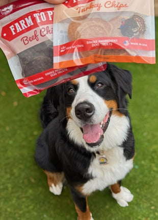 Puppy Packs 'n Snacks Dog Treat Starter Pack | Single-Ingredient Training Treats