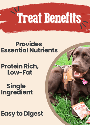Snack Pack Dog Treat Sampler