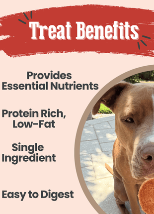 Turkey Chips for Dogs | All-Natural Single-Ingredient Healthy Dog Treats