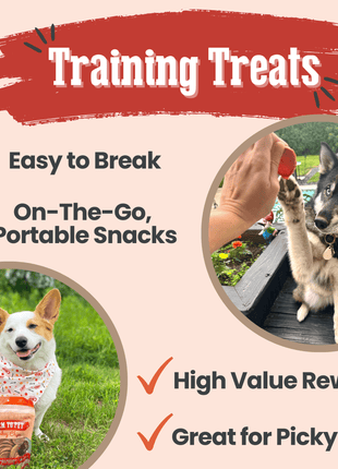 Turkey Chips for Dogs | All-Natural Single-Ingredient Healthy Dog Treats