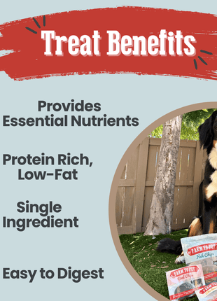 Puppy Packs 'n Snacks Dog Treat Starter Pack | Single-Ingredient Training Treats
