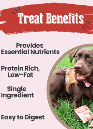 Puppy Packs 'n Snacks Dog Treat Starter Pack | Single-Ingredient Training Treats