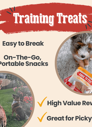 Snack Pack Dog Treat Sampler