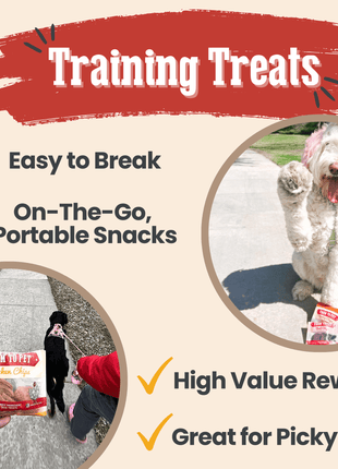 Snack Pack Dog Treat Sampler