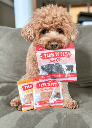 Snack Pack Dog Treat Sampler