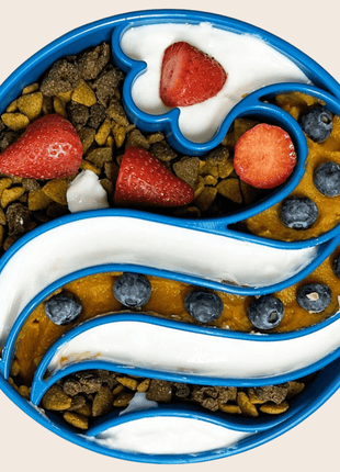 Slow Feeder Dog Bowls