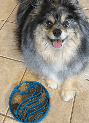 Slow Feeder Dog Bowls