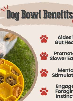 Slow Feeder Dog Bowls