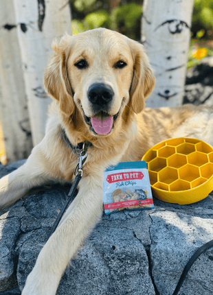 Slow Feeder Dog Bowls