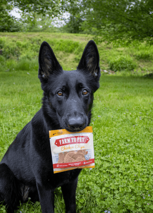 Chicken Chips Snack Pack Bundles | Dog Party Favors & Training Treats