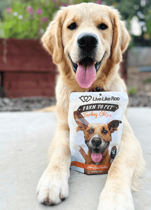 Live Like Roo Turkey Chips for Dogs | Dog Treats That Give Back