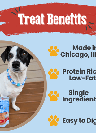 Chicago Chicken Chips for Dogs | Dog Treats To Celebrate Our Hometown