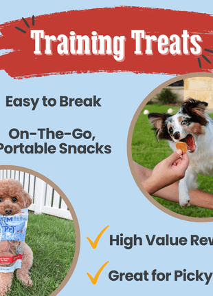 Chicago Chicken Chips for Dogs | Dog Treats To Celebrate Our Hometown