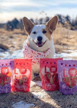 Puppy Love Dog Treat Duo | Poultry Chip Variety Pack