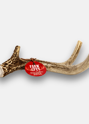 Deer Antler Dog Chews | Organic Chews for Dogs