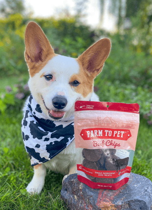 Beef Chips Dog Treats | Single-Ingredient Healthy Treats for Dogs