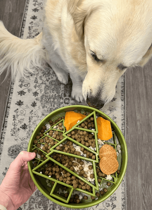 Slow Feeder Dog Bowls