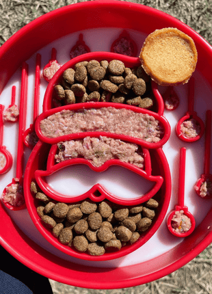 Slow Feeder Dog Bowls