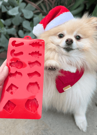 Pet Treat Molds