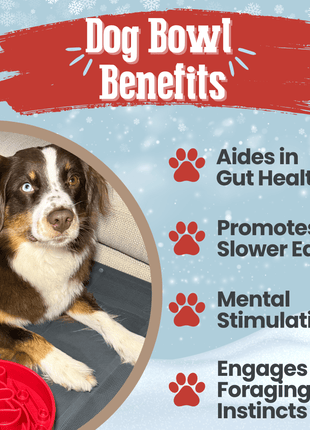 Slow Feeder Dog Bowls