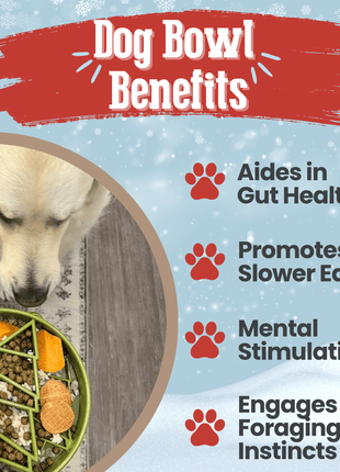 Slow Feeder Dog Bowls