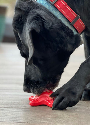 Starfish Nylon Dog Chew Toy for Aggressive Chewers | USA Made | SodaPup