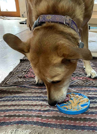 Air Nylon eCoin Lick Mat for Dogs - Durable Enrichment Toy | SodaPup