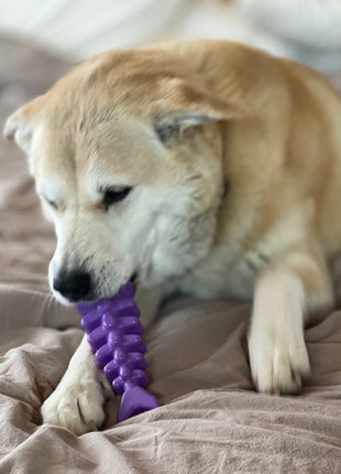 Fish Bone Nylon Dog Toy for Aggressive Chewers | USA Made | SodaPup